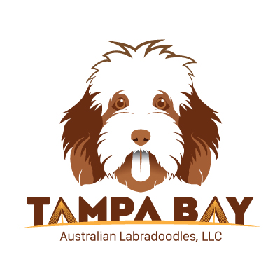 Tampa Bay Australian Labradoodles Logo